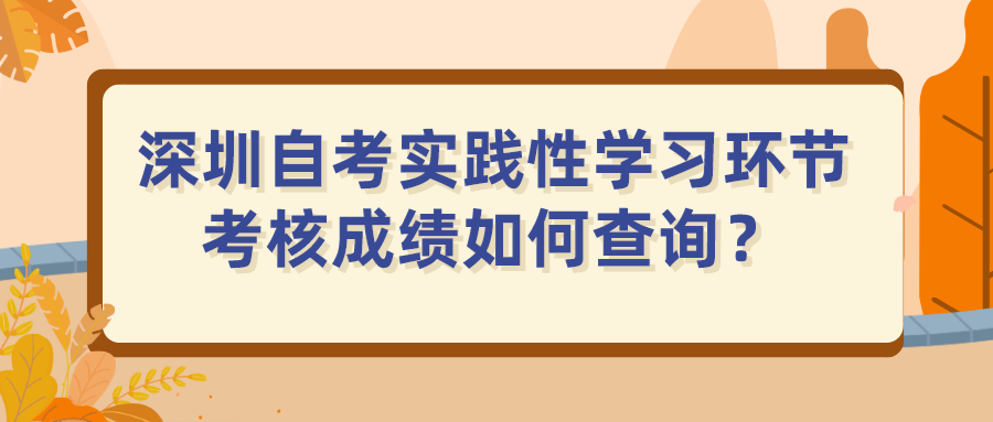 深圳自考实践性学习环节考核成绩如何查询？