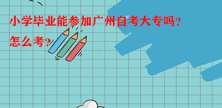 小学毕业能参加深圳自考大专吗？怎么考？(图1)